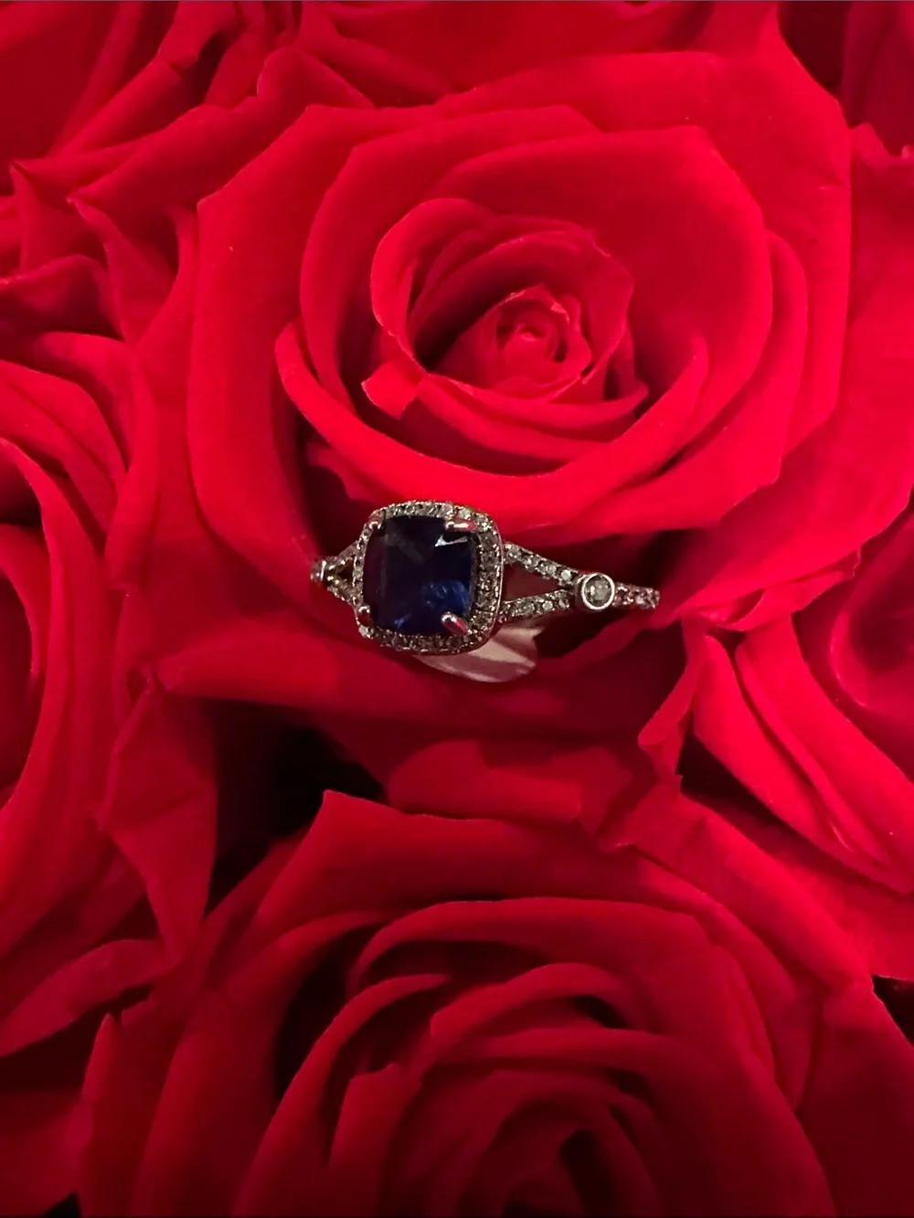 Blue Cushion Halo Ring with Pavé Band - Women's Jewelry 925 silver